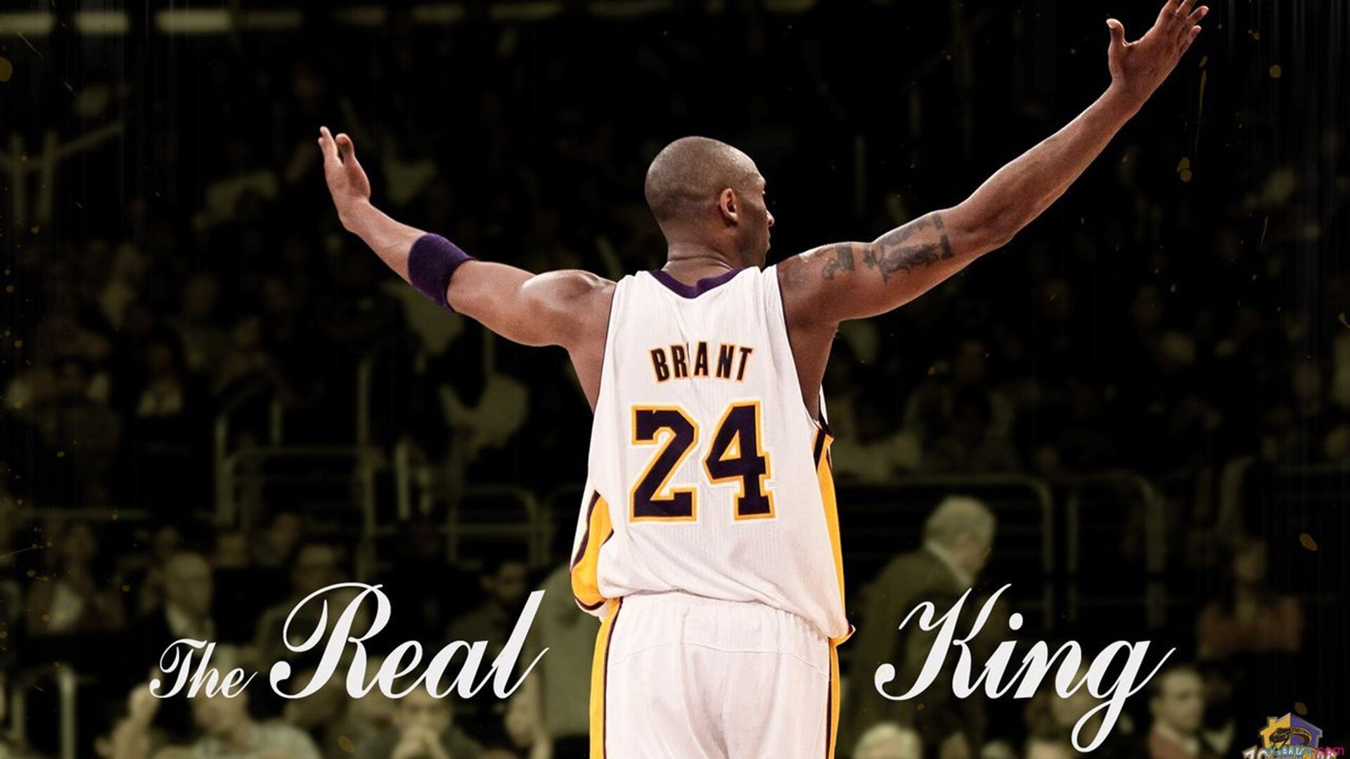 九游电竞中心-巴朗加国王新秀球员表现亮眼，巴朗加国王新秀球员表现亮眼吗